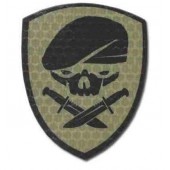 KAMPFHUND Naszywka Medal Of Honor Skull Coyote Tan